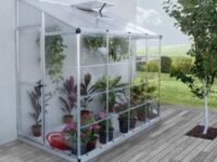 Väggväxthus Lean To - 3m² + Växthusrengöring - Väggväxthus